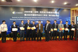 2009年中國(guó)沈陽軟件出口與服務(wù)外包峰會(huì) 共謀產(chǎn)業(yè)發(fā)展新篇章